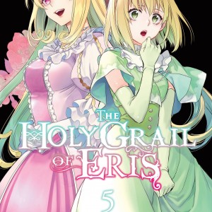 The Holy Grail of Eris, Vol. 5 (manga) book cover