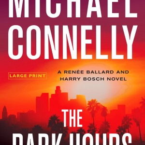 The Dark Hours book cover