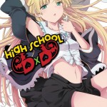 High School DxD, Vol. 2 book cover
