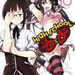 High School DxD, Vol. 10 book cover