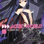Accel World, Vol. 11 (light novel) book cover