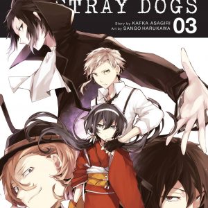 Bungo Stray Dogs, Vol. 3 book cover