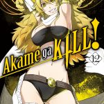 Akame ga KILL!, Vol. 12 book cover