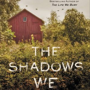 The Shadows We Hide book cover