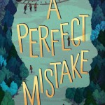 A Perfect Mistake book cover