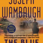 The Blue Knight book cover