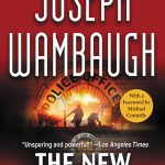 The New Centurions book cover