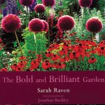 The Bold and Brilliant Garden book cover