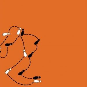 Directing a Play book cover