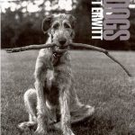 DogDogs book cover