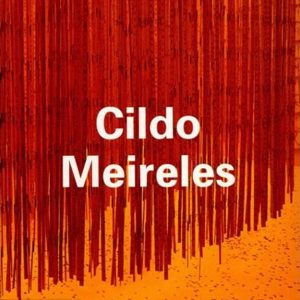 Cildo Meireles book cover