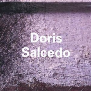 Doris Salcedo book cover