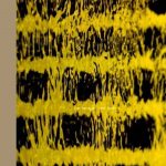 Luis Barragán book cover