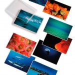 David Doubilet; Water Light Time Postcards book cover