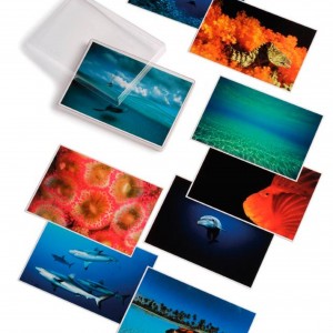 David Doubilet; Water Light Time Postcards book cover