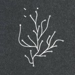 Ronan and Erwan Bouroullec book cover