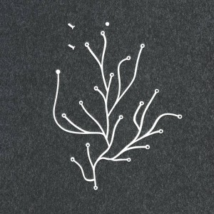 Ronan and Erwan Bouroullec book cover