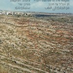 From Galilee to the Negev book cover