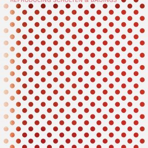 Reproducing Scholten & Baijings book cover