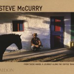 From These Hands book cover