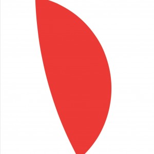 Ellsworth Kelly book cover