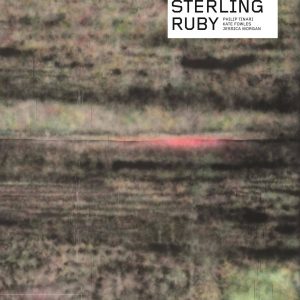 Sterling Ruby book cover