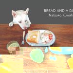 Bread and a Dog book cover