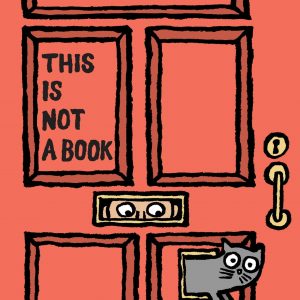 This Is Not A Book book cover