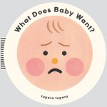 What Does Baby Want? book cover