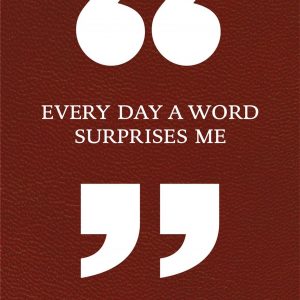 Every Day a Word Surprises Me & Other Quotes by Writers book cover