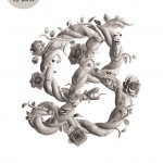 Little Bear Dreams book cover