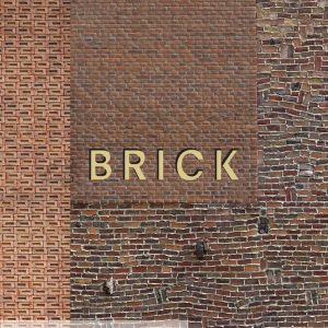 Brick book cover