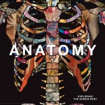 Anatomy book cover