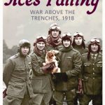 Aces Falling book cover