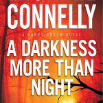 A Darkness More Than Night book cover