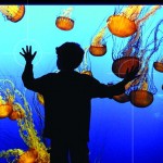 Case Studies book cover