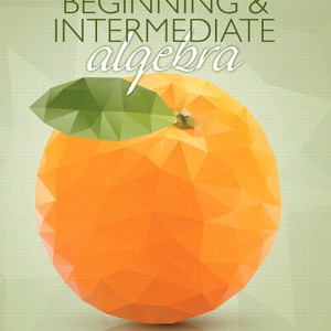 Beginning & Intermediate Algebra book cover