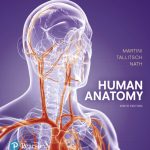 Human Anatomy book cover