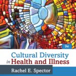 Cultural Diversity in Health and Illness book cover