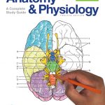 Anatomy and Physiology Coloring Workbook book cover