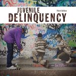 Juvenile Delinquency (Justice Series) book cover