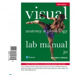 Visual Anatomy & Physiology Lab Manual, Main Version book cover