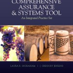 Comprehensive Assurance & Systems Tool (CAST) book cover
