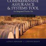 Comprehensive Assurance & Systems Tool (CAST) -- Computerized Practice Set book cover