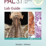 Practice Anatomy Lab 3.1 Lab Guide book cover