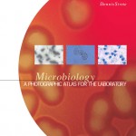 Microbiology book cover