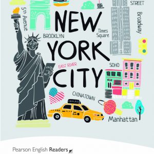 Level 3: New York book cover