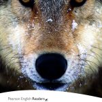 Level 2: White Fang book cover