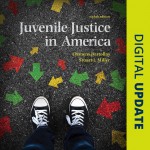 Juvenile Justice In America book cover