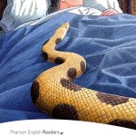 Level 4: Three Adventures of Sherlock Holmes book cover